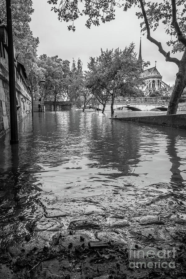 The Edge of a Flooded Walkway in Paris, Blk Wht Photograph by Liesl Walsh