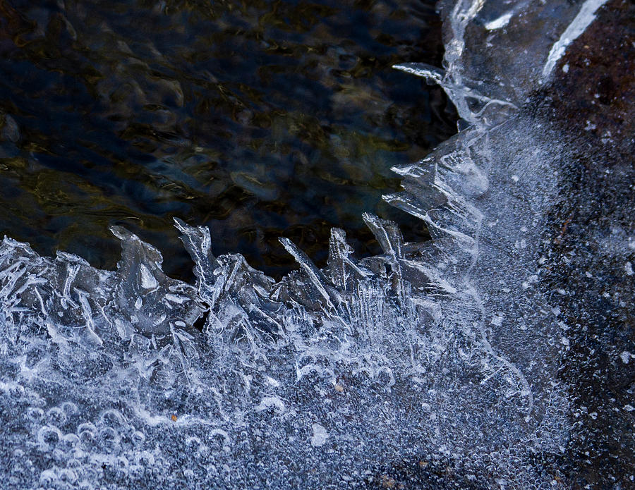 The Edge of Ice Photograph by Jean Noren