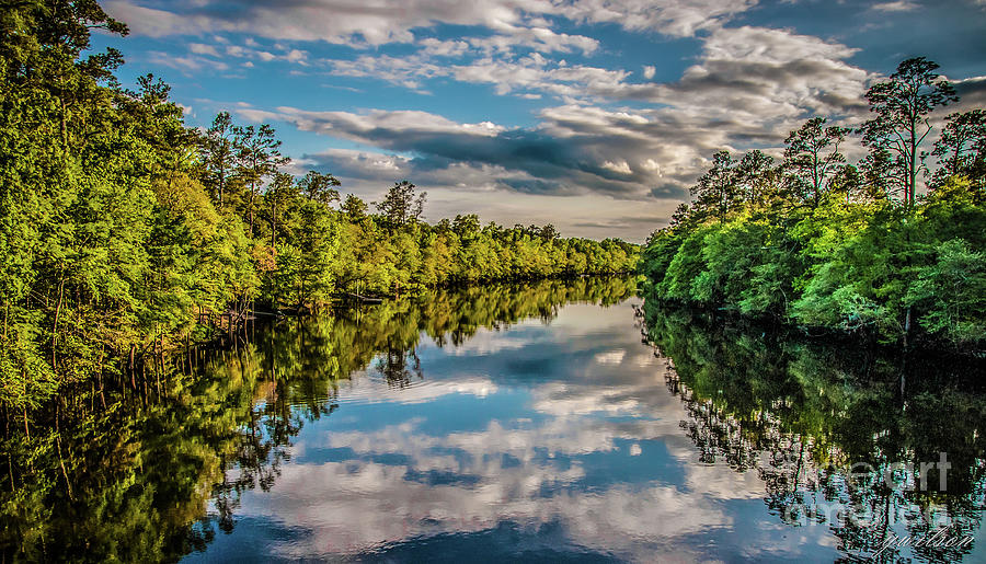 The Edisto River Photograph By Yvette Wilson 