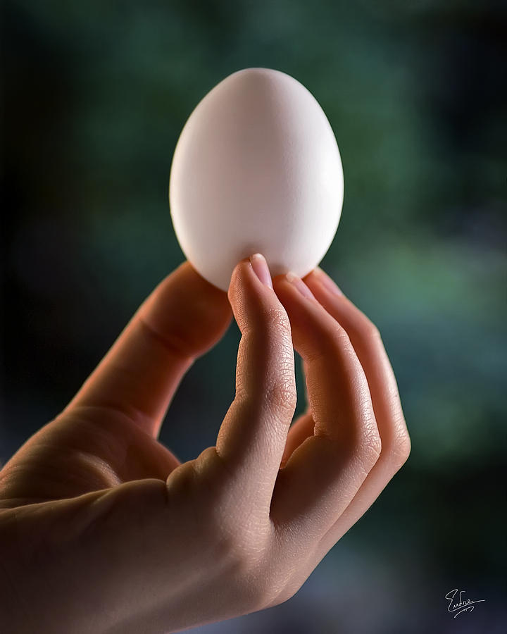 The Egg Photograph by Endre Balogh