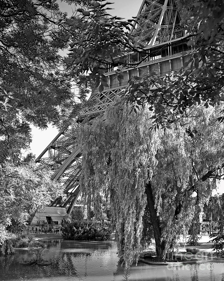 The Eiffel Tower From The Gardens In Black And White Photograph