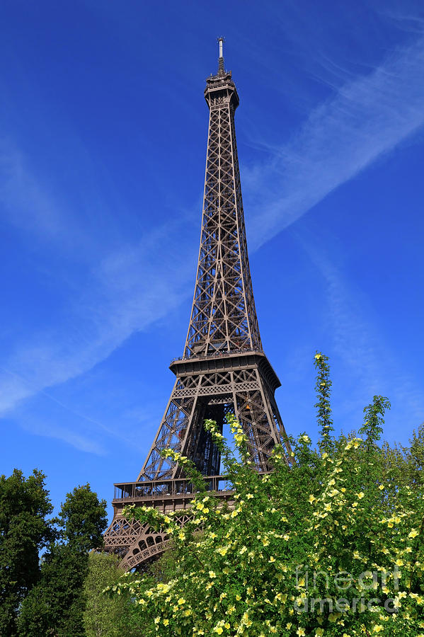 The Eiffel Tower in Spring Photograph by Louise Heusinkveld