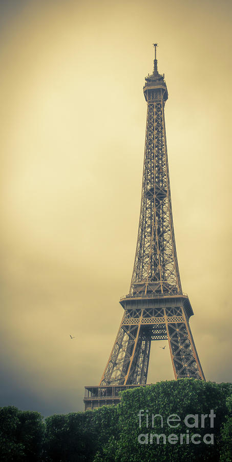 The Eiffel Tower in the Morning Glow Photograph by Marina McLain