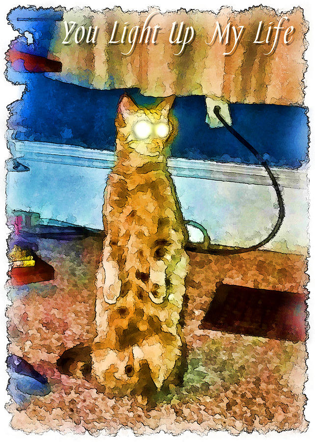 The Electric Cat Photograph by Theresa Campbell