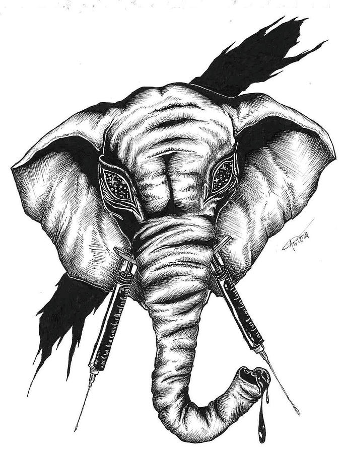 Black And White Drawing - The Elephant by Aurora Bartells