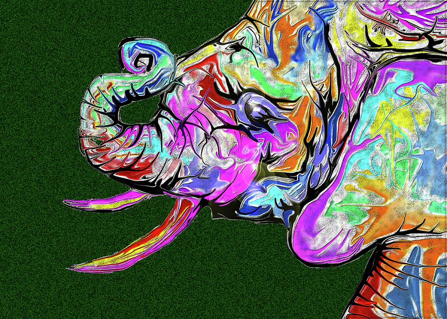The Elephant by Darren Cannell The Elephant by Darren Cannell