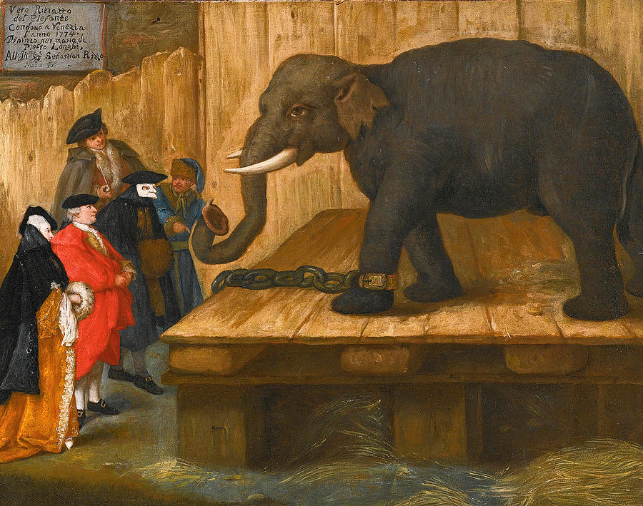 Pietro Longhi Painting - The Elephant by Pietro Longhi