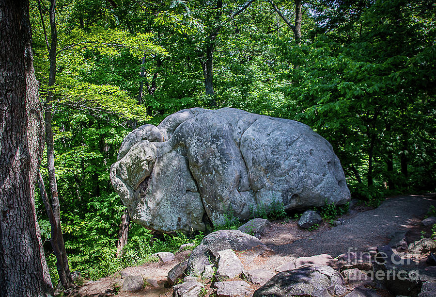 The Elephant Rock Photograph by Deborah Klubertanz