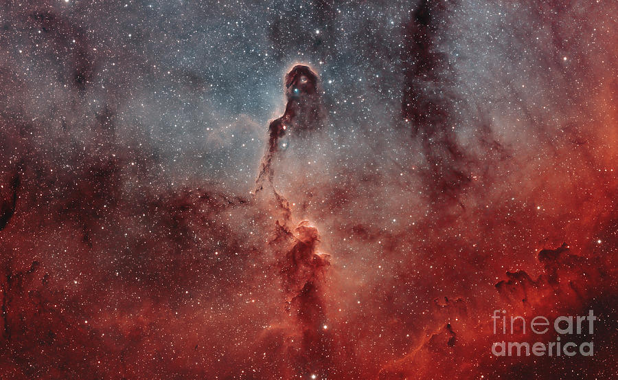 Interstellar Photograph - The Elephant Trunk Nebula by Rolf Geissinger