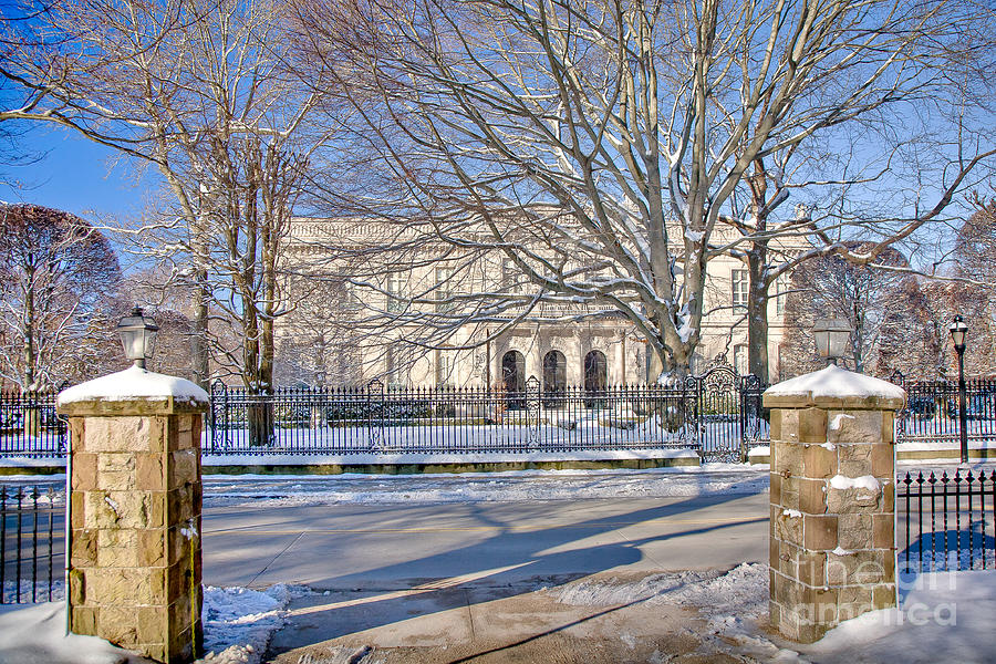 The Elms in Winter Photograph by Susan Cole Kelly