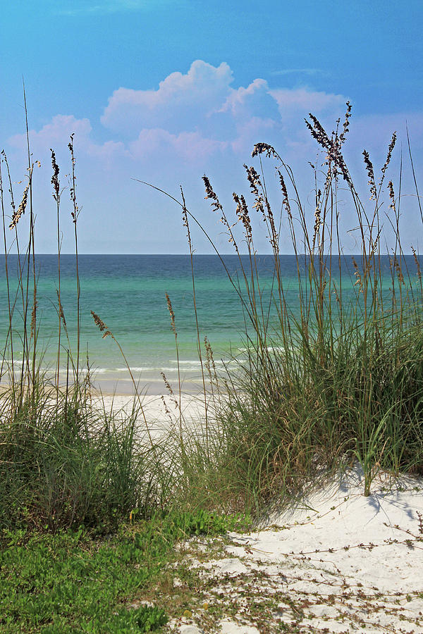 The Emerald Coast Photograph by Dave Alexander - Fine Art America