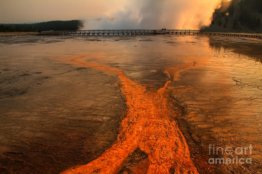 The Enchantment of Grand Prismatic Spring Photograph by Teresa Zieba