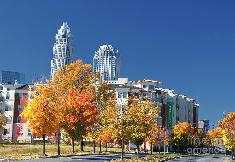 The Enclave Apartments In Charlotte Photograph
