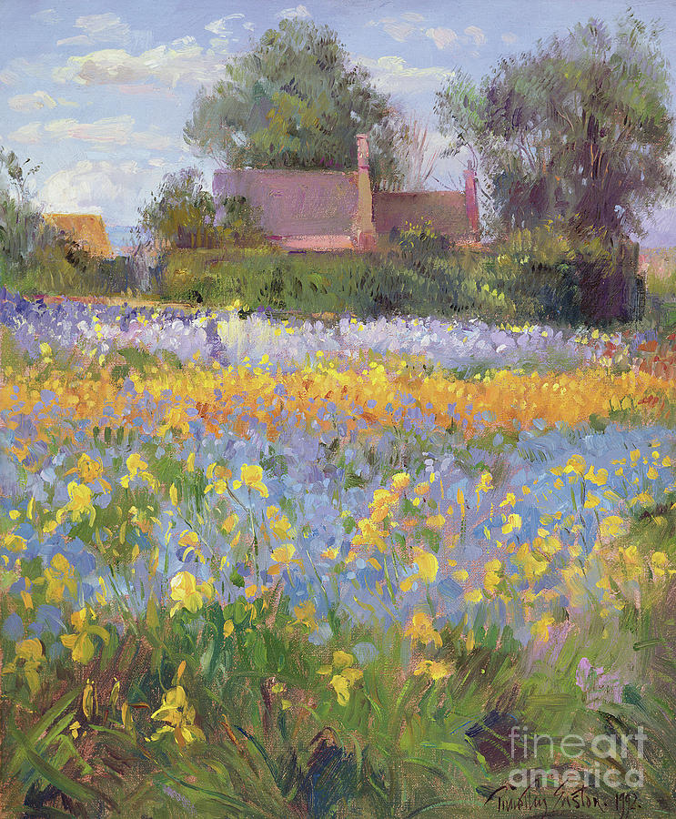 The Enclosed Cottages in the Iris Field Painting by Timothy Easton