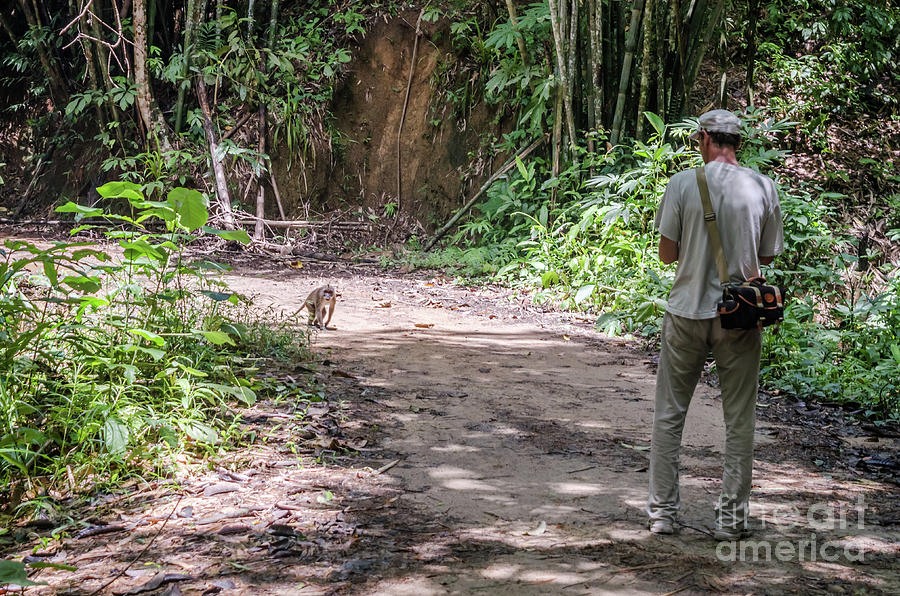 The Encounter With A Macaque Photograph by Michelle Meenawong