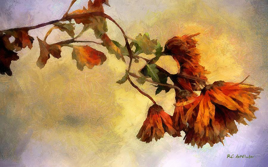 Flower Painting - The End of the Season by RC DeWinter