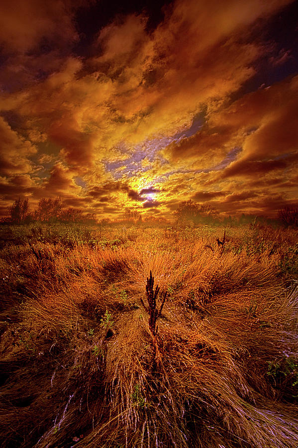 The Entirety Of The Quest Photograph by Phil Koch
