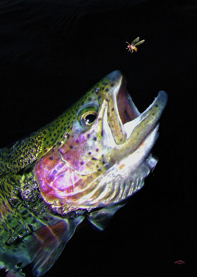 Trout Photograph - The Entomologist by Brian Pelkey