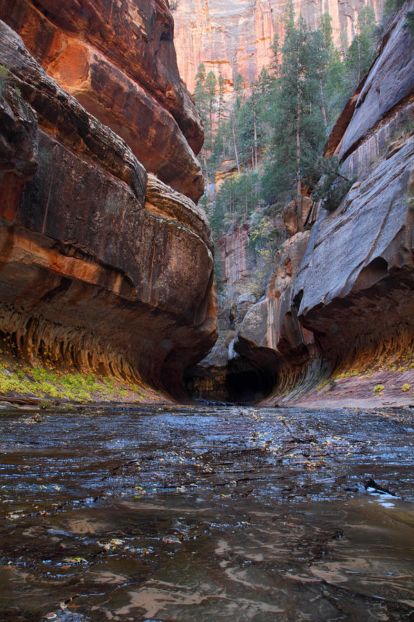 The entrance to the Subway in Zion Photograph by Pierre Leclerc Photography