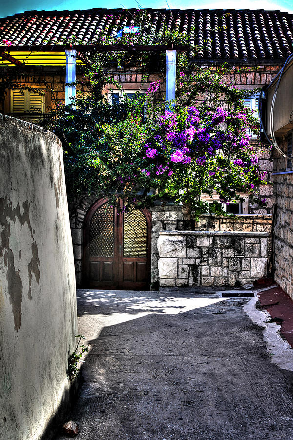 The entrance way Corfu Grrece Photograph by Tom Prendergast