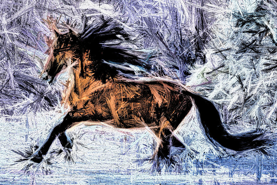 The Exquisite Mare at Culebra Creek Digital Art by Terry Fiala