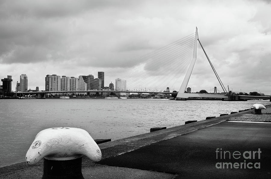 The Erasmus Bridge in Rotterdam BW Photograph by RicardMN Photography