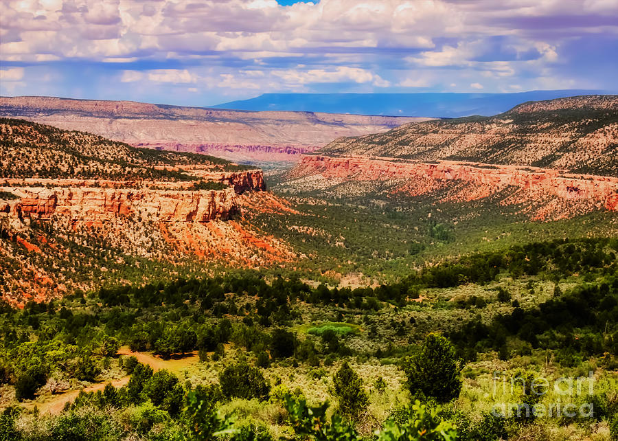 The Escalante Canyon Colorado Photograph by Janice Pariza