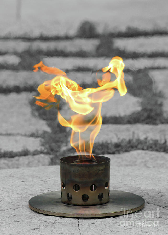 The Eternal Flame Photograph by E B Schmidt
