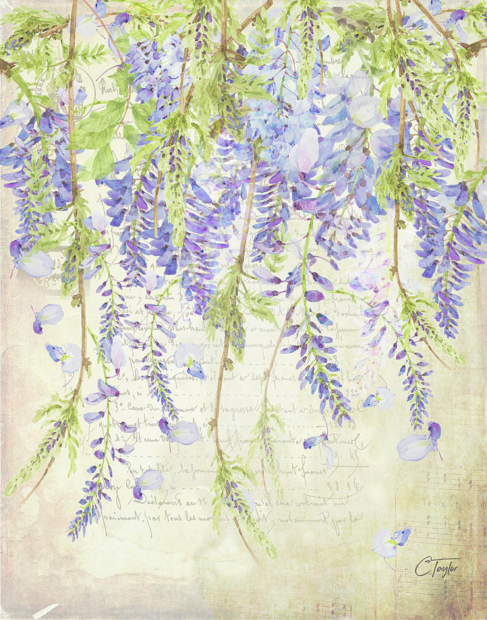 The Ethereal Wisteria Mixed Media by Colleen Taylor