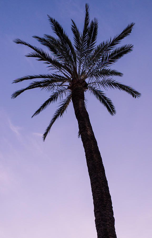 The evening sky Photograph by AM FineArtPrints The evening sky Photograph by AM FineArtPrints