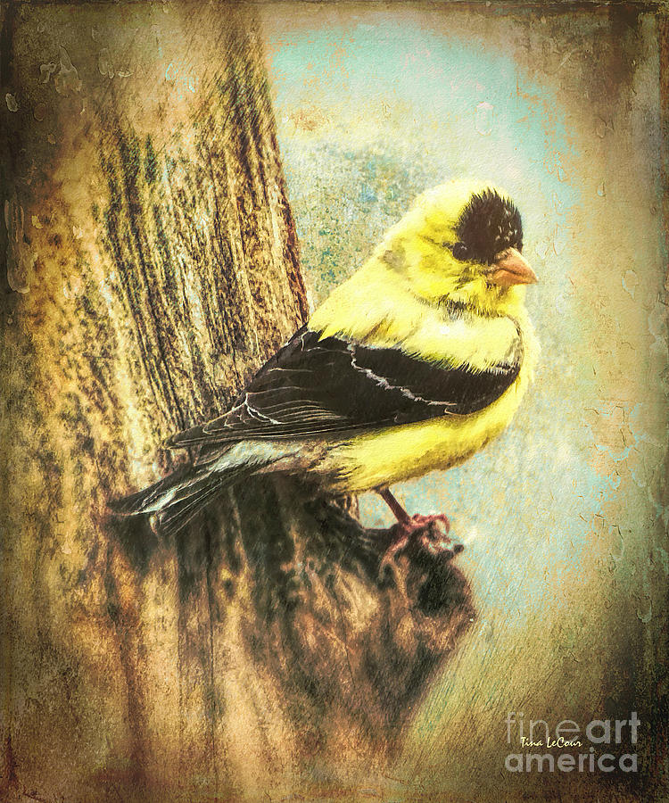 The Exquisite Goldfinch Painting