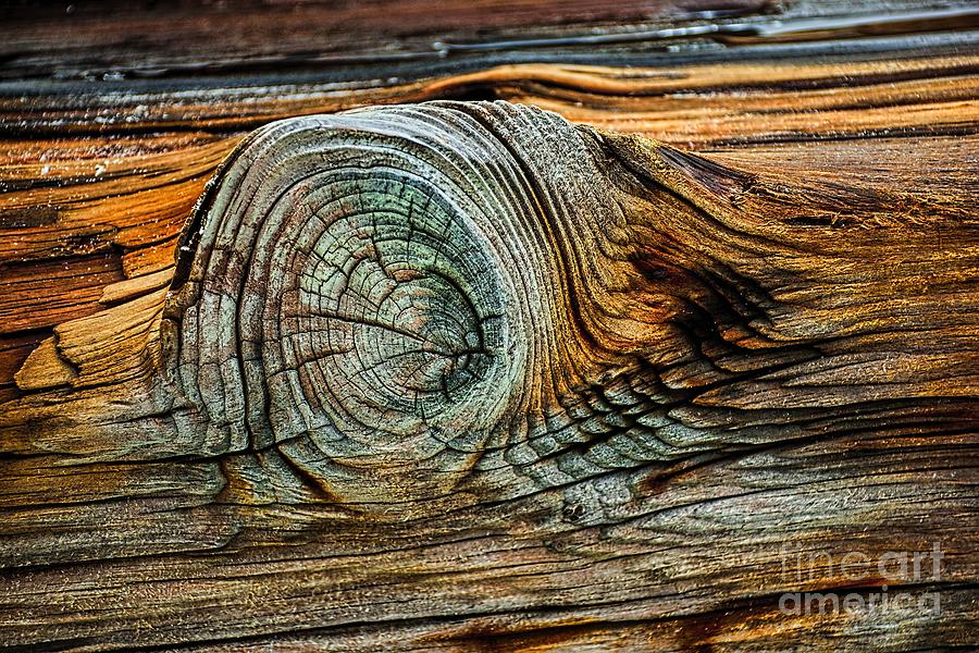 Abstract Photograph - The Eye in the Wood by Norman Gabitzsch