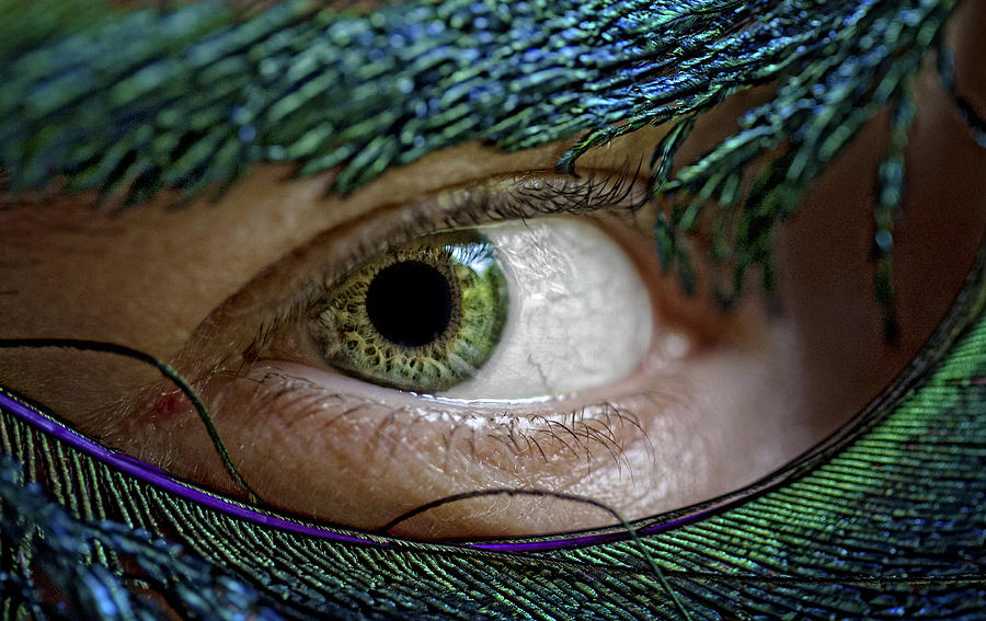 Eye Photograph - The Eye by Jamie Cain