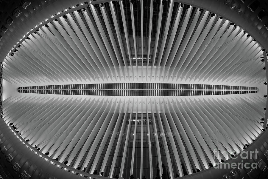The Eye Of Oculus BW Photograph by Michael Ver Sprill