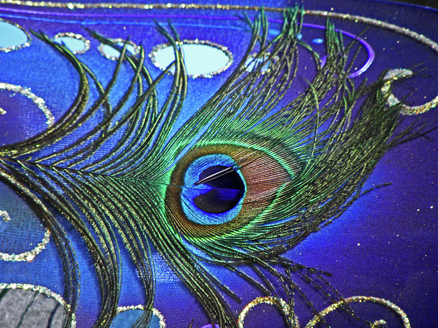 The Eye of the Peacock Photograph by Elizabeth Hoskinson