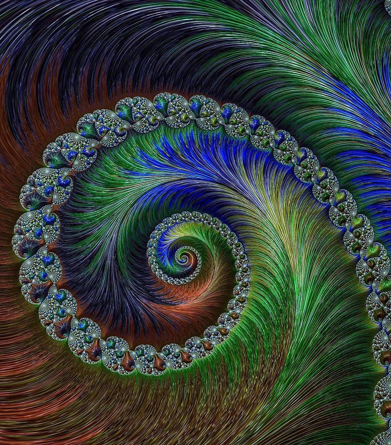 The Eye of the Peacock Fractal Photography Photograph by Doris Aguirre
