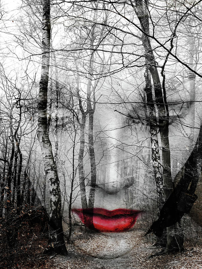The face in the forest Photograph by Gabi Hampe