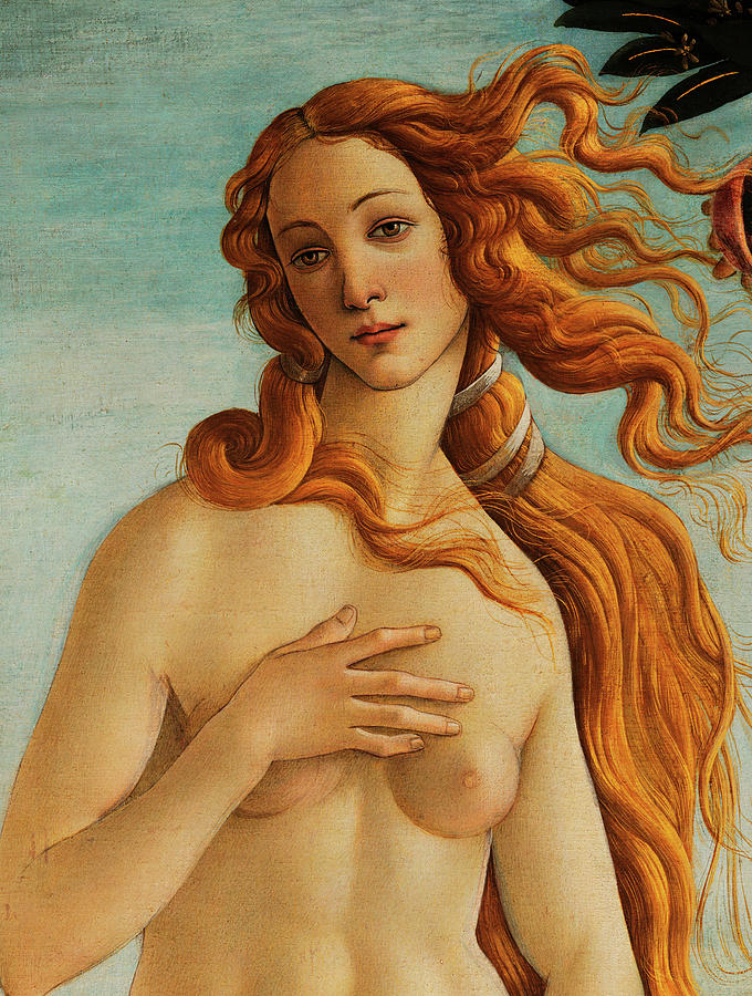 Sandro Botticelli Painting - The face of Venus by Sandro Botticelli