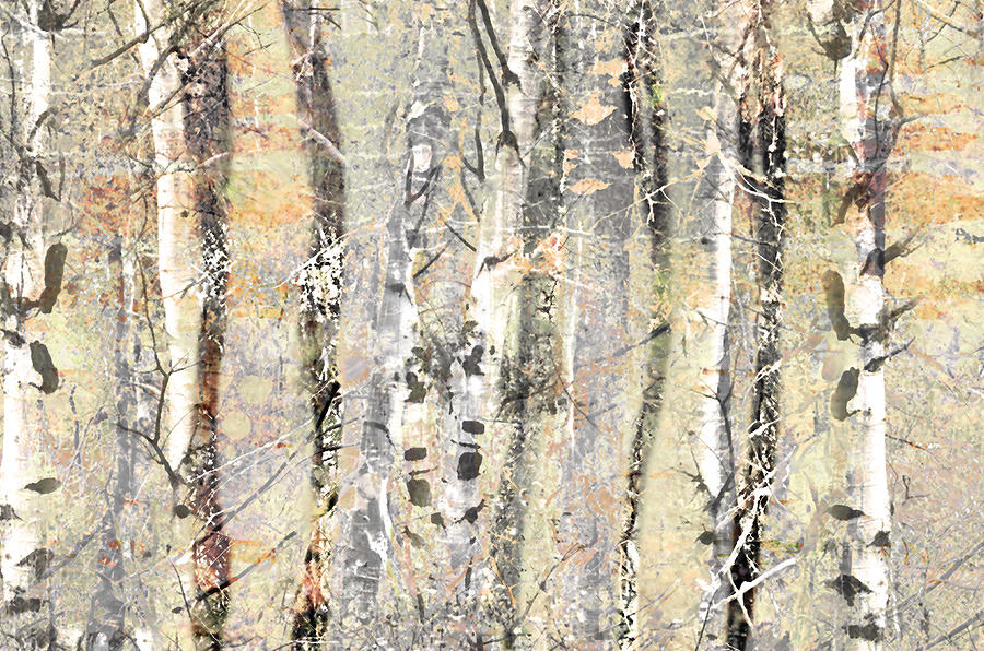 The Fading Forest by Tara Turner The Fading Forest by Tara Turner