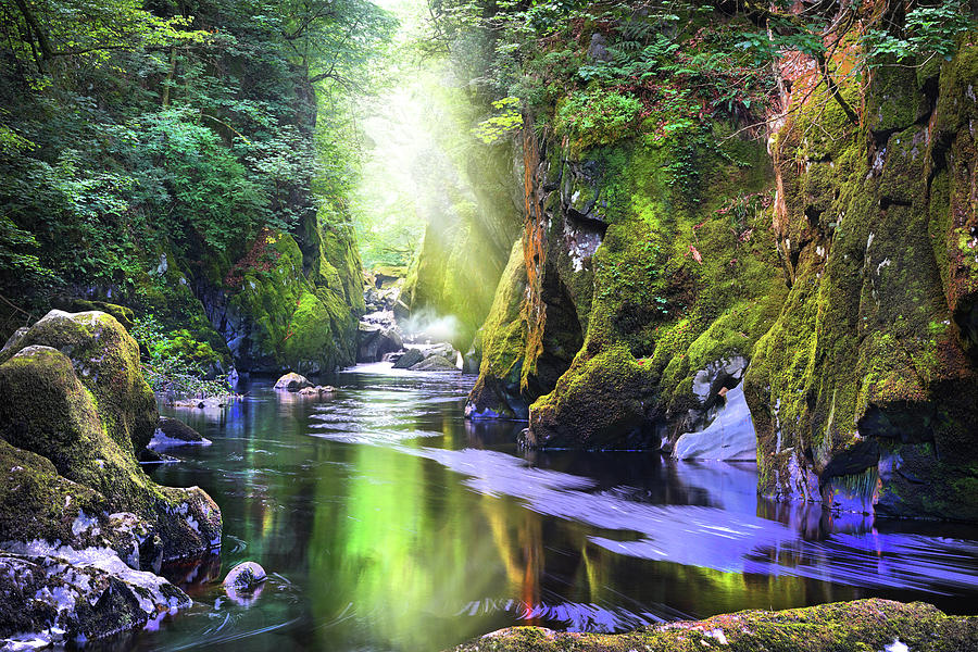 The Fairy Glen Gorge River Conwy Photograph by Mal Bray