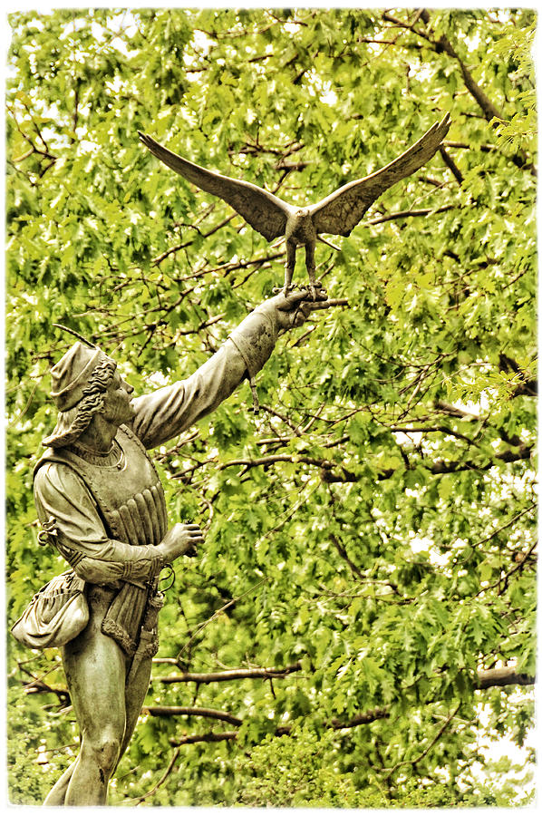 The Falconer No 2 Photograph by Mike Martin