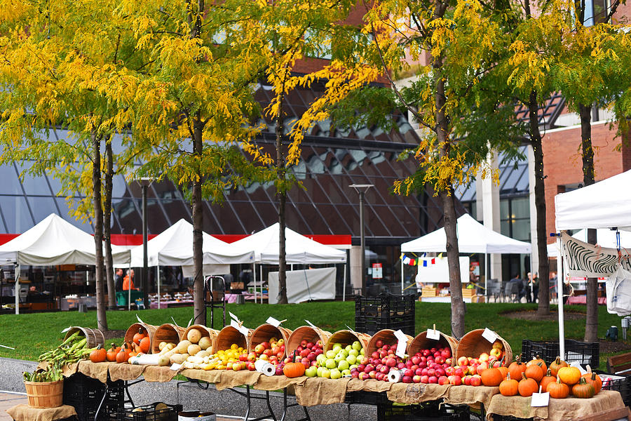 The Fall Harvest is In Kendall Square Farmers Market Foliage Photograph by Toby McGuire