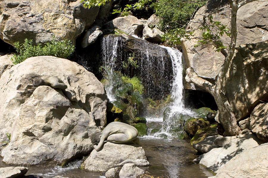 The Falls Bouquet Canyon l CA Photograph by Filippo Ioco | Fine Art America