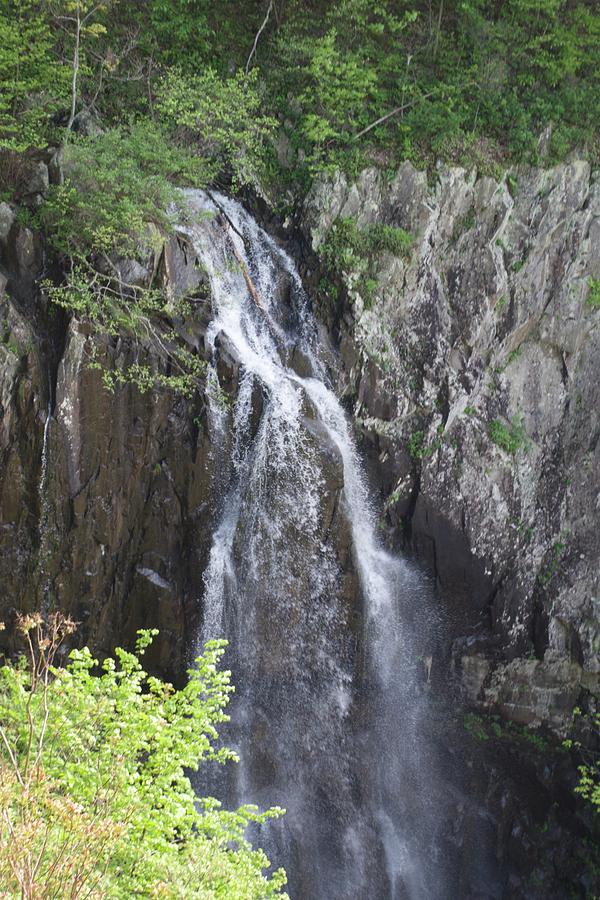 The Falls In Shenandoah Photograph