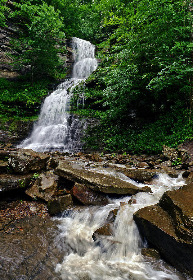 The Falls Photograph by Lisa Lambert-Shank