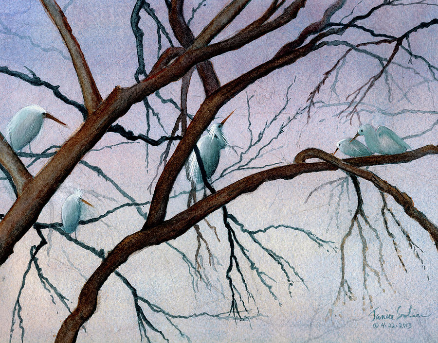 Bird Painting - The Family by Janice Sobien