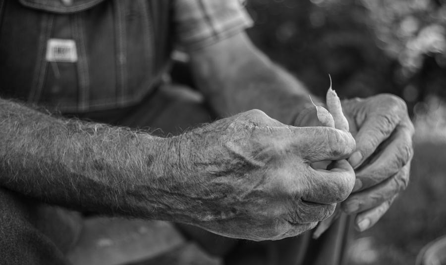 The Farmer's Hands Photograph by Griffey's Sunshine Photography - Pixels