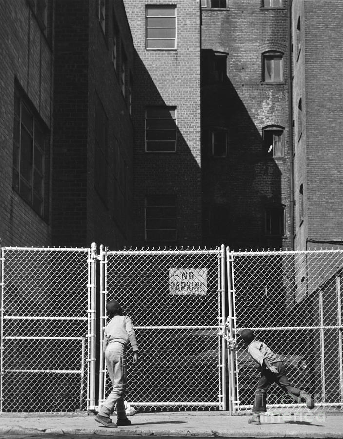 The Fence 1966 Photograph by Erik Falkensteen