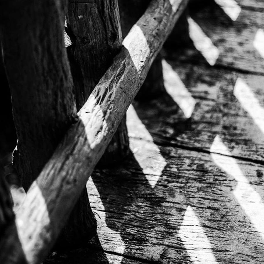 Leica Photograph - The Fence by Aleck Cartwright