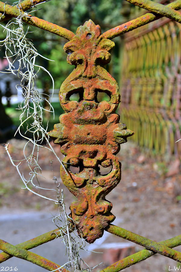 The Fence At The Chapel Of Ease St. Helena Island Beaufort SC Photograph by Lisa Wooten